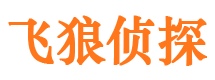 莱西市侦探公司